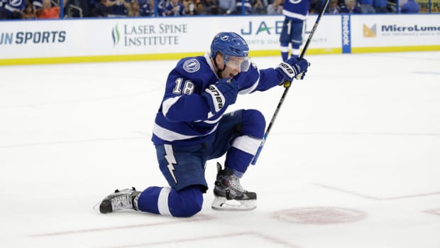ondrej-palat-lightning-playoffs-celebrate-goal.jpg